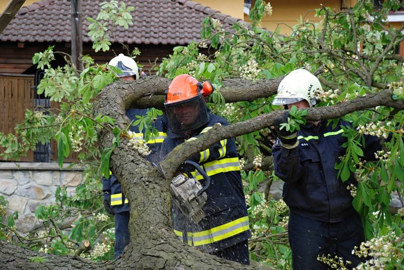 Mátl okolí tím, že kvetl. Přesto byl uvnitř prohnilý a nakonec spadl.