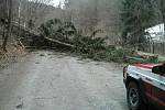 Vítr na Blanensku v pátek porážel stromy. Nešla elektřina a auta stála. Na snímku hasiči odstraňují padlé kmeny u Křtěnova.