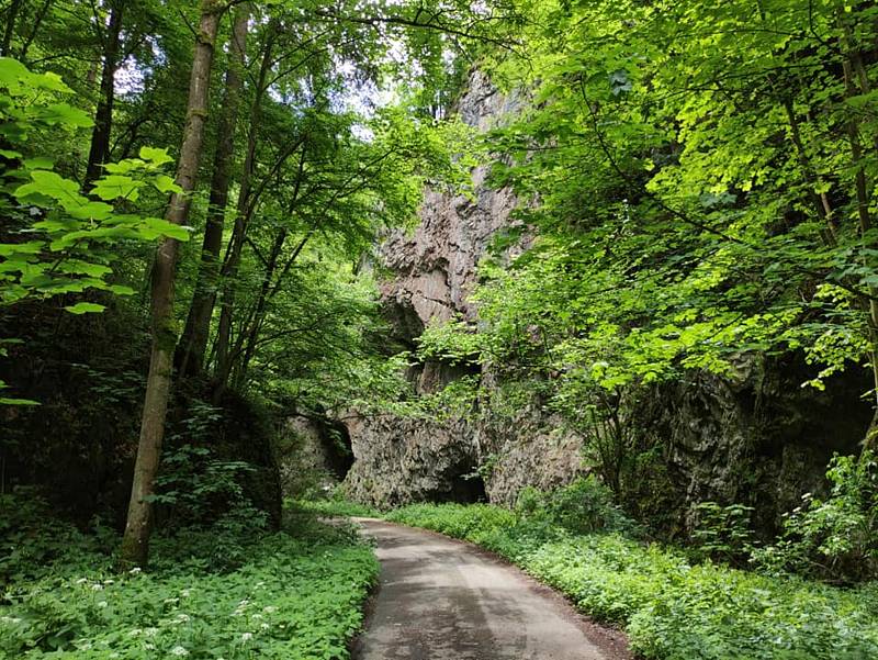 Pohled na jeskyně Moravského krasu a jejich okolí nikdy neomrzí.