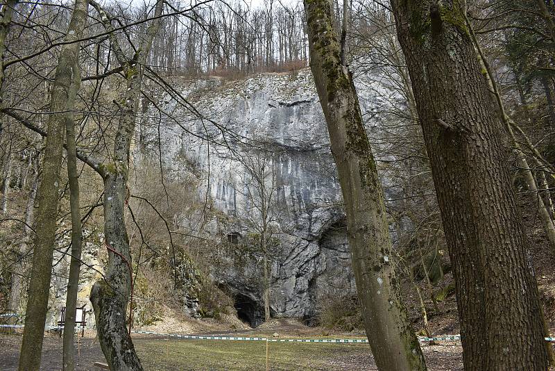 Tři měsíce. Tak dlouho je od pondělí zavřená louka před Býčí skálou v Moravském krasu na Blanensku a její nejbližší okolí. Stejně jako část modré turistické trasy k nedaleké jeskyni Kostelík. Kvůli hnízdění vzácného sokola stěhovavého.