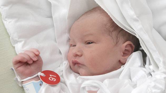 Tobiáš Přikryl, 52 cm, 3,72 kg, Blansko, 19. 2. 2014, FN Brno