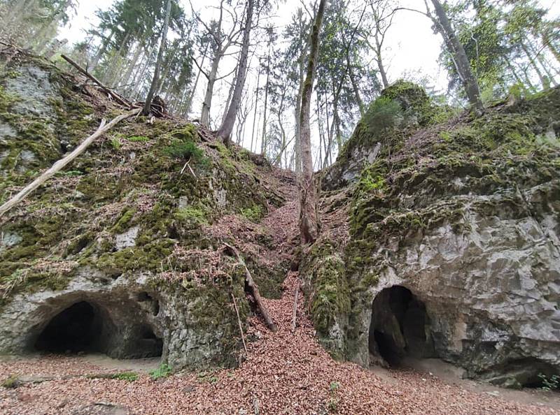 Okolí Sloupsko - šošůvské jeskyně je plné malých i větších volně přístupných jeskyní.