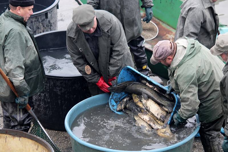 Výlov rybníka Olšovec v Jedovnicích na Blanensku.