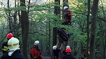 Specialisté z lezecké skupiny brněnských hasičů a také místní hasiči vyjížděli ve středu před šestou hodinou na pomoc paraglidistovi, který nešťastně přistál v lesním porostu nedaleko Žerůtek na Blanensku.