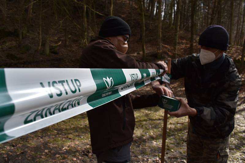 Tři měsíce. Tak dlouho je od pondělí zavřená louka před Býčí skálou v Moravském krasu na Blanensku a její nejbližší okolí. Stejně jako část modré turistické trasy k nedaleké jeskyni Kostelík. Kvůli hnízdění vzácného sokola stěhovavého.