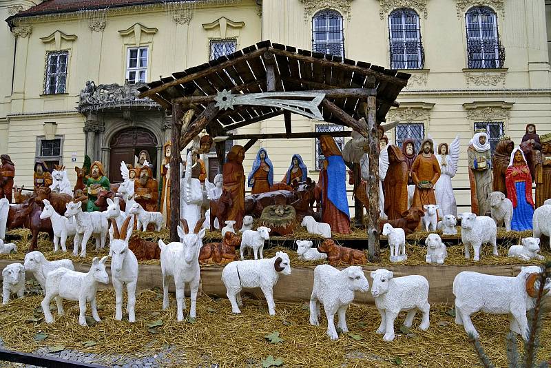 Z předvánoční procházky Brnem. Foto: Monika Šindelková