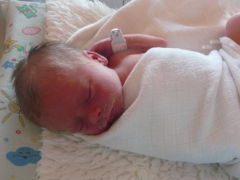 Sebastian Prokop, 44 cm, 1,96 kg, 10. 10. 2010, Němčiče.