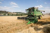 Obavy ze zaplavení evropského trhu levnější ukrajinskou pšenicí hýbou politikou v několika zemích evropské sedmadvacítky. Ilustrační snímek