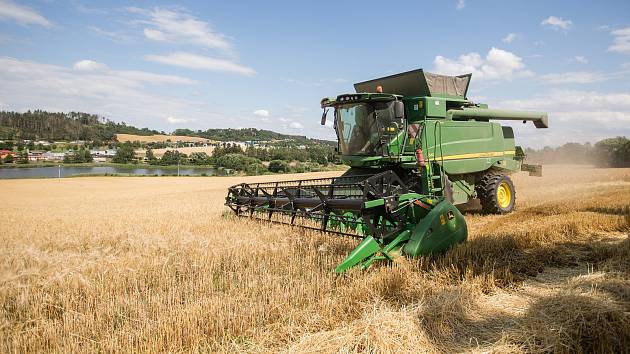 Obavy ze zaplavení evropského trhu levnější ukrajinskou pšenicí hýbou politikou v několika zemích evropské sedmadvacítky. Ilustrační snímek