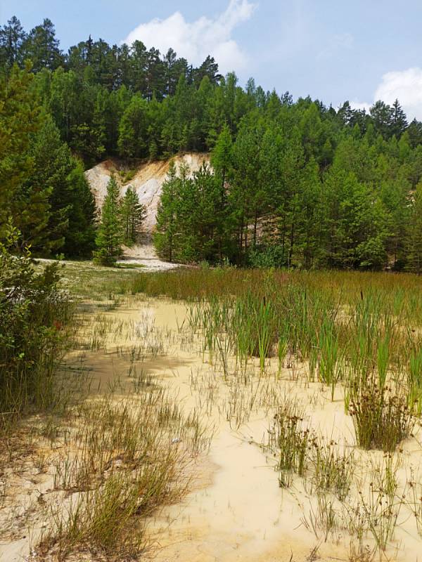 Částečně zatopený lom Seč v lese na okraji Rudice  je léta oblíbeným cílem turistů.