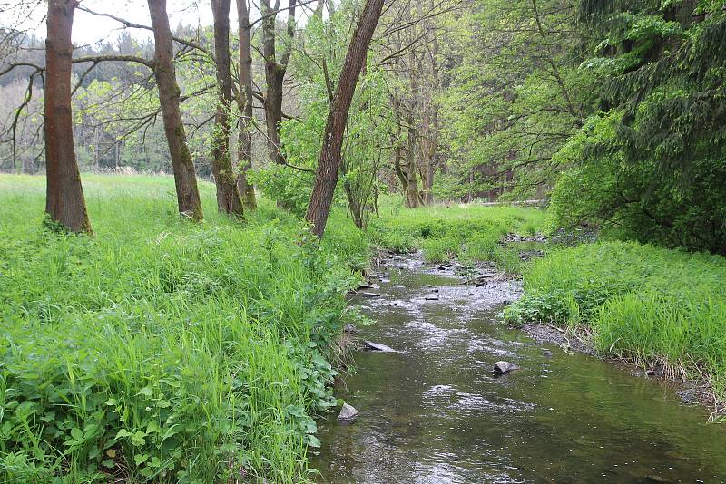 Okolí potoka Bílá voda u Holštejna na Blanensku lemují rozlehlé louky. Stát chce tuto lokalitu zařadit do budoucna na seznam zásobáren vody.