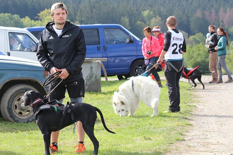 Na ježdění na Valše  v Louce závodily na dvě stovky psů a čtyřicet majitelů.