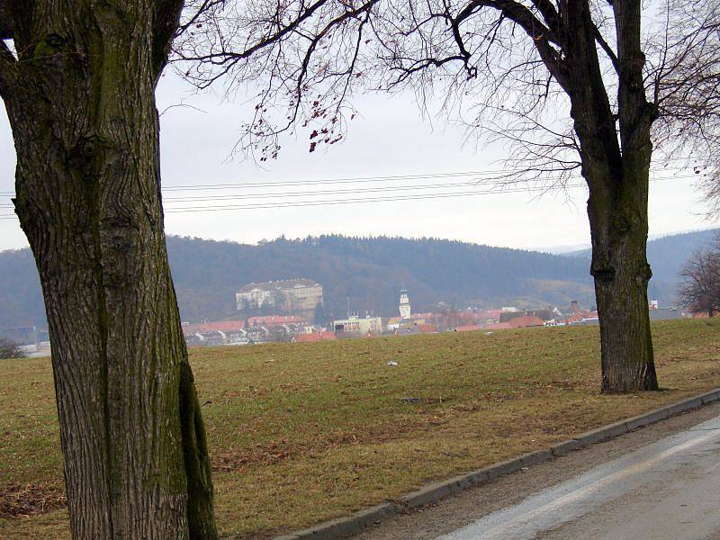 V Boskovicích před sto lety tamní okrašlovací spolek vysadil alej asi sto devadesáti lip v ulici Svatopluka Čecha, která vede ke hřbitovu a westernovému městečku.