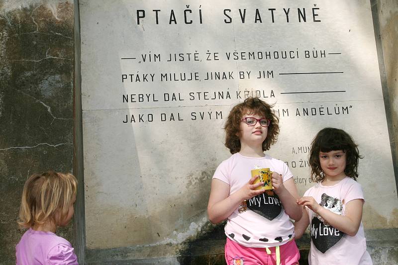 Spolek Okras připravil u adamovské studánky Ptačí svatyně ke Dni Země zajímavou akci pro děti i dospělé s podtitulem Dotkněte se lesa.