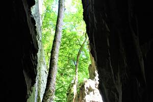 Býčí skála je hned po Amatérské jeskyni druhý nejdelší jeskynní systém v České republice