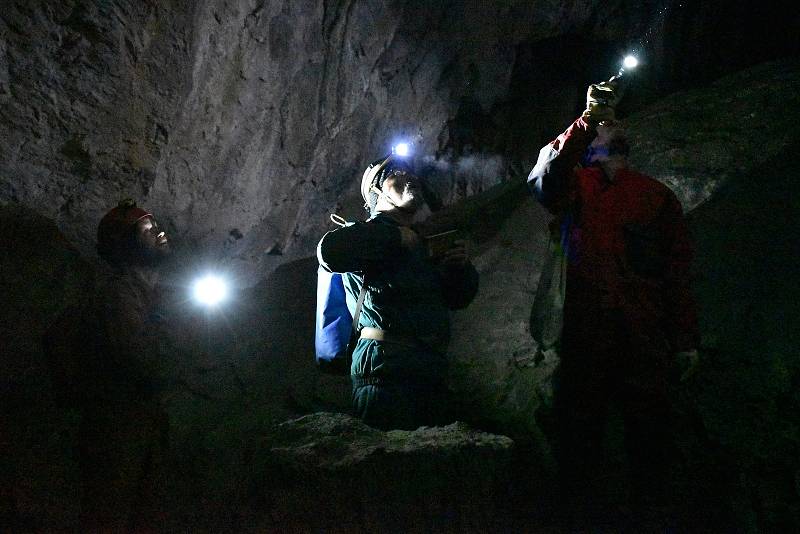 Sčítání netopýrů na zimovištích v jeskyních v Moravském krasu na Blanensku. Na snímcích je sčítání v jeskyni Lidomorna u obce Holštejn.