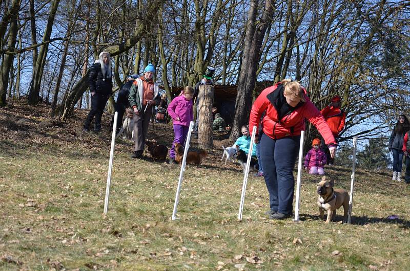 Blanenský kynologický klub Agility pořádal v neděli Pochod lesem se psem. Pejsci i jejich pánové pochodovali pět kilometrů od Přehrady Palava po chalupu na Horčničkách v Horní Lhotě, kde si pak užili spoustu zábavy při plnění různých soutěžních úkolů.