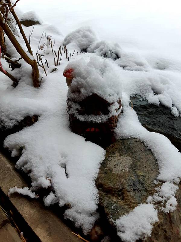 Nasněžilo i mezi Velenovem a Suchým.