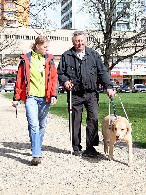 Vodicí pes. Neocenitelný pomocník nevidomých. Umění těchto čtyřnohých průvodců viděli lidé v pátek na tradiční soutěži vodicích psů Cesta ve tmě. Ta se v Blansku konala ji poosmé. 