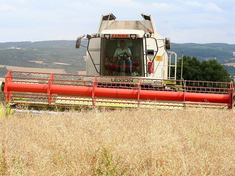 Zemědělci z bořitovského družstva Zepo sklízejí řepku na polích u Obory.