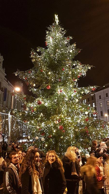 Brno 29.11.2019 - rozsvícení vánočního stromu na náměstí Svobody v Brně.