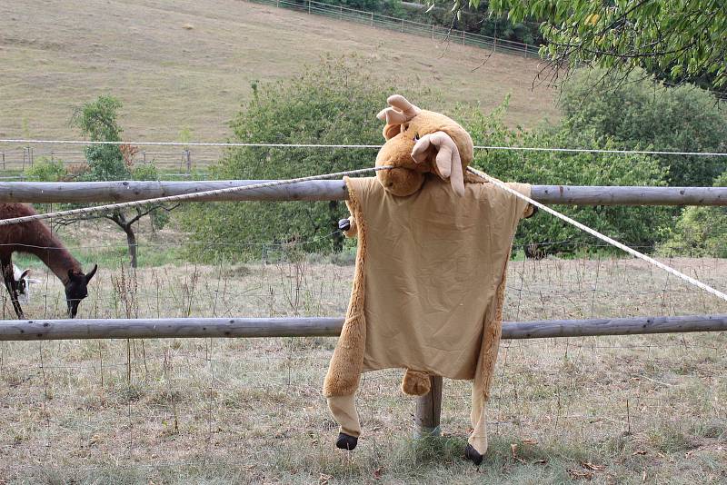 Lovení rybek a bonbonů, opičí dráha. Děti se rozloučily s létem na Statku Samsara.