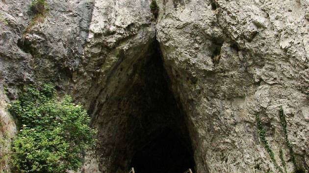 Vědci objevili prý nejstarší hudební nástroje na světě - Deník.cz