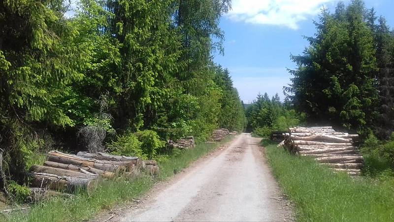 Z výletu z Boskovic do Úsobrna, Jaroměřic, Uhřice, Cetkovic a Světlá do Šebetova a přes Doubravy do Boskovic.