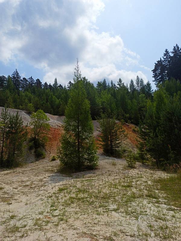 Částečně zatopený lom Seč v lese na okraji Rudice  je léta oblíbeným cílem turistů.