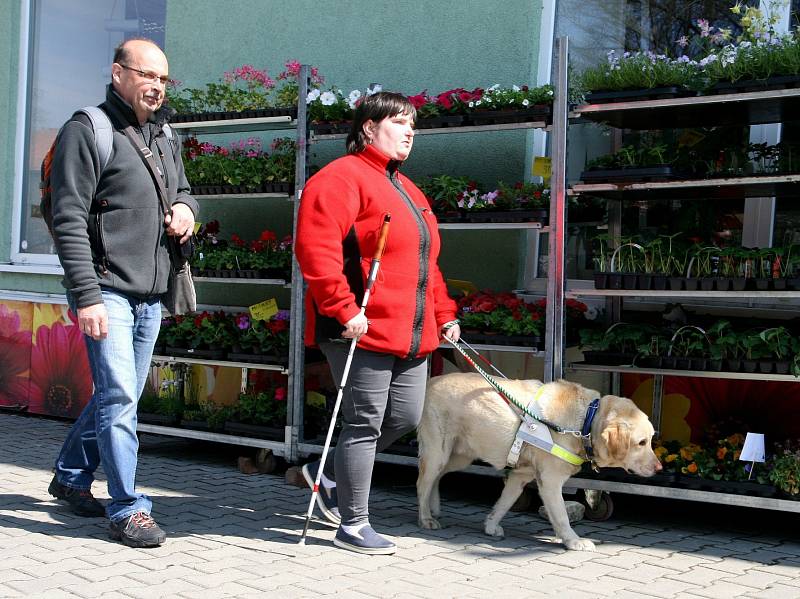 Nevidomí zvládli cestu ve tmě. S vodicími psy.