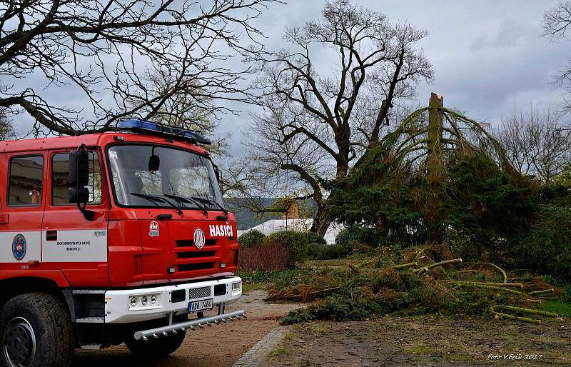 Nedělní vichřice poškodila také střechu na budově Zámeckého skleníku v Boskovicích a stromy v přilehlém parku.