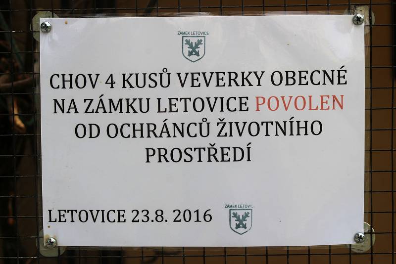 Před rokem začali v letovickém zámku s chovem veverek. Netušili, kolik problémů jim to přinese.