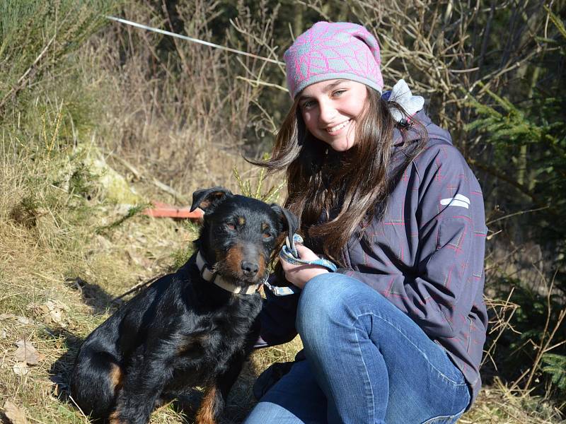 Blanenský kynologický klub Agility pořádal v neděli Pochod lesem se psem. Pejsci i jejich pánové pochodovali pět kilometrů od Přehrady Palava po chalupu na Horčničkách v Horní Lhotě, kde si pak užili spoustu zábavy při plnění různých soutěžních úkolů.