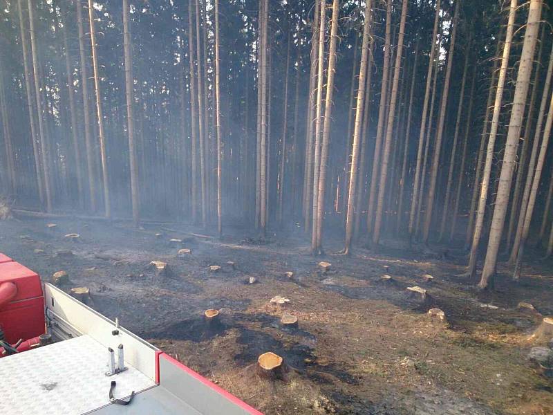 Hasiče na jihu Moravy zaměstnávaly v pondělí odpoledne a navečer lesní požáry. V některých případech museli při zásazích na Blanensku a Brněnsku vyhlásit druhý stupeň požárního poplachu.