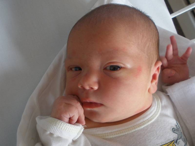 Tereza Zachovalová, 53 cm, 3, 89 kg, Doubravice nad Svitavou, 1. 12. 2014