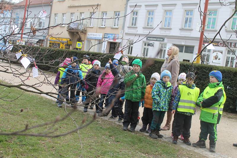 Před radnicí v Blansku kvete básníkovník. Rostou na něm plody v podobě básní.