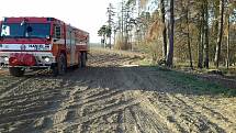 Hasiče na jihu Moravy zaměstnávaly v pondělí odpoledne a navečer lesní požáry. V některých případech museli při zásazích na Blanensku a Brněnsku vyhlásit druhý stupeň požárního poplachu.
