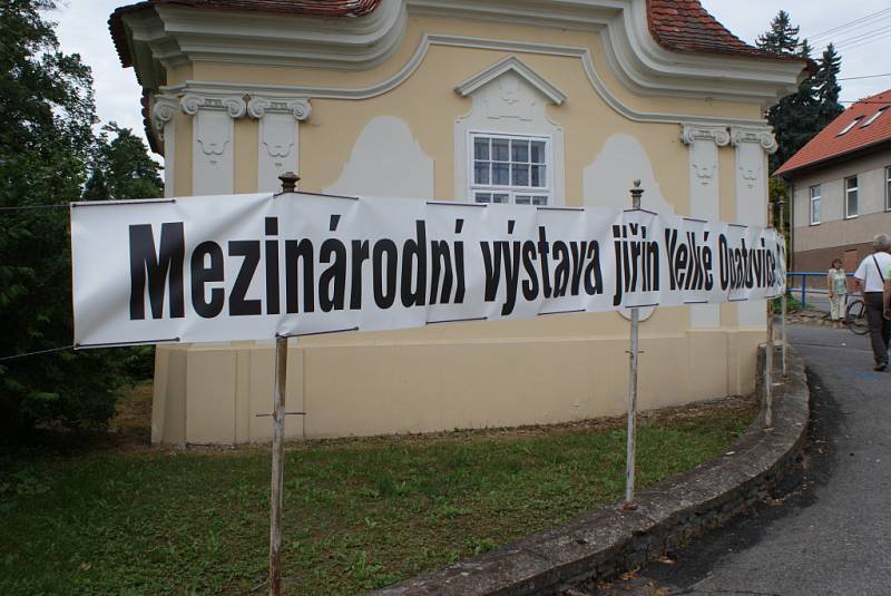 Moravské kartografické centrum ve Velkých Opatovicích o víkendu rozzářily květy jiřin. Návštěvníci v sobotu i v neděli viděli mezi mapami a měřicími přístroji na tři sta různých druhů těchto květin pozdního léta v asi čtyři sta padesáti vazbách.