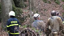 Jeskyňářovu nohu uvěznil v podzemí velký kámen. Hasiči a členové speleologické záchranné služby organizují jeho záchranu.