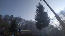 Vánoční strom na Masarykově náměstí v Letovicích.