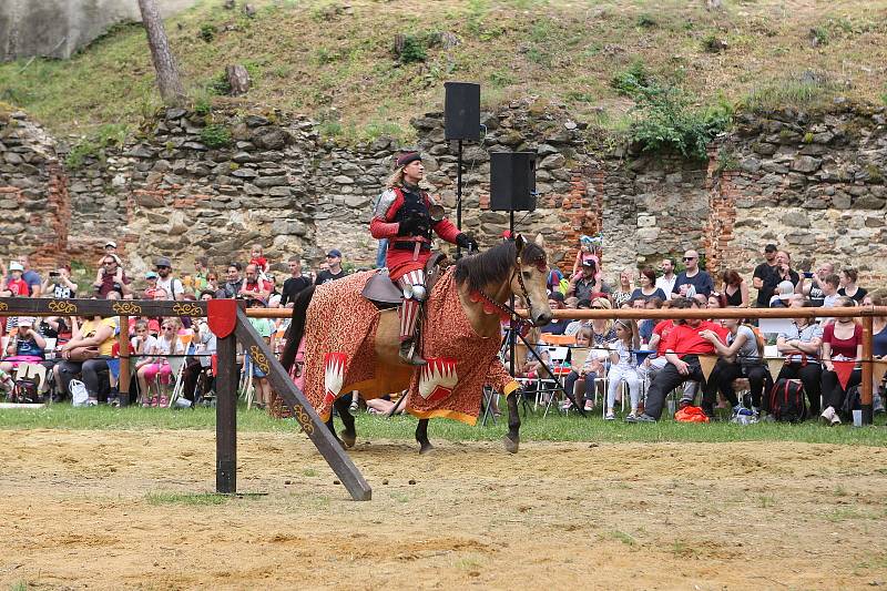 Návštěvníci zříceniny boskovického hradu se v sobotu vrátili o několik staletí zpátky v čase. Míjeli rytířské ležení, středověkou krčmu a historické tržiště. Na udatných rytířích se blýskala historická zbroj. Hradní čeládka se starala o koně.