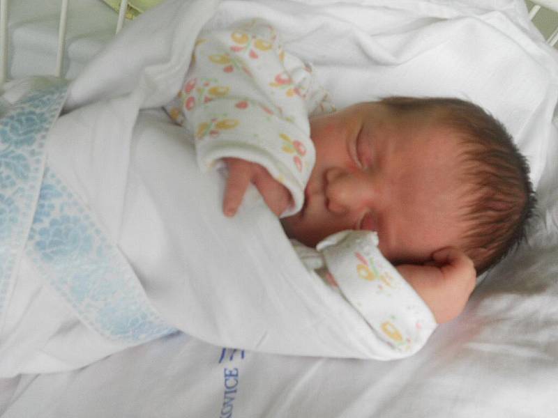 Filip Kluksa		49 cm		3,29 kg	Jevíčko		7.6.2011