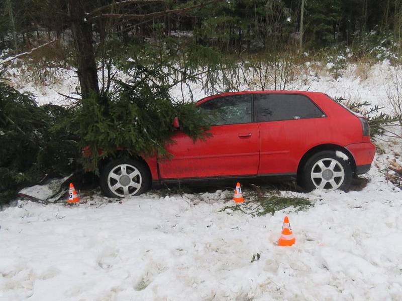 Nárazem do stromu skončila v sobotu brzo ráno jízda osmadvacetiletého muže. Ten s autem Audi A3 na trase Hrádkov – Vratíkov nezvládl řízení a při projíždění levotočivé zatáčky vyjel mimo silnici, kde se zastavil až nárazem o strom.