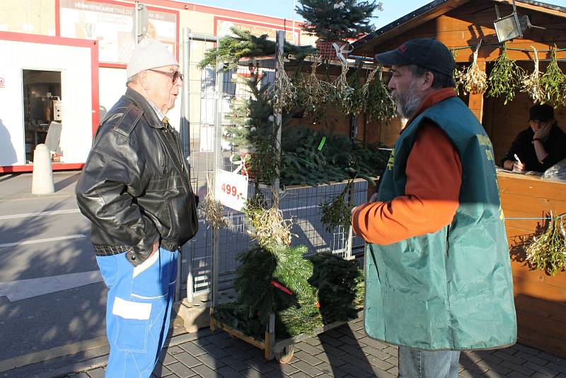 Na Blanensku začal prodej vánoních stromků.