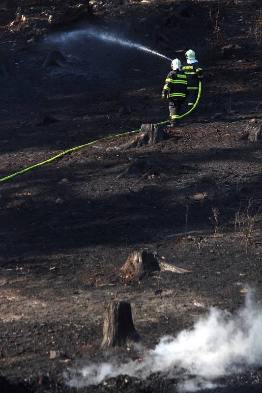 V Suchém Žlebu u obce Vilémovice na Blanensku hořela mýtina v prudkém srázu. Nedaleká rezervace Vývěry Punkvy byla v ohrožení. Požár lesa hasil i vrtulník.