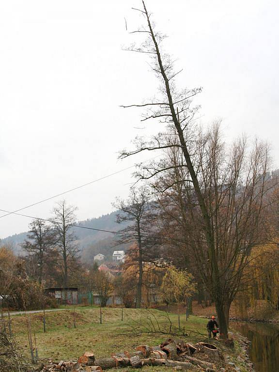 Dřevorubci káceli stromy u řeky Svitavy.