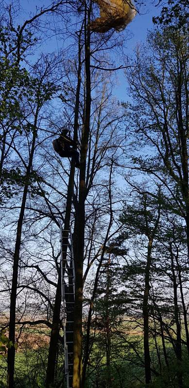 Specialisté z lezecké skupiny brněnských hasičů a také místní hasiči vyjížděli ve středu před šestou hodinou na pomoc paraglidistovi, který nešťastně přistál v lesním porostu nedaleko Žerůtek na Blanensku.