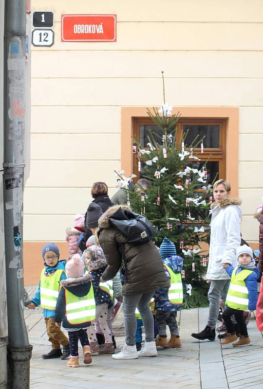 Děti ze znojemských mateřských škol se svými učitelkami zdobily tradičně vánoční stromky v Obrokové ulici v centru Znojma.