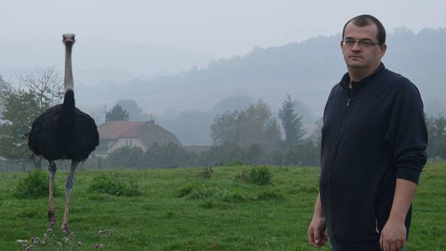Marek Kubíček provozuje v Doubravici pštrosí farmu.