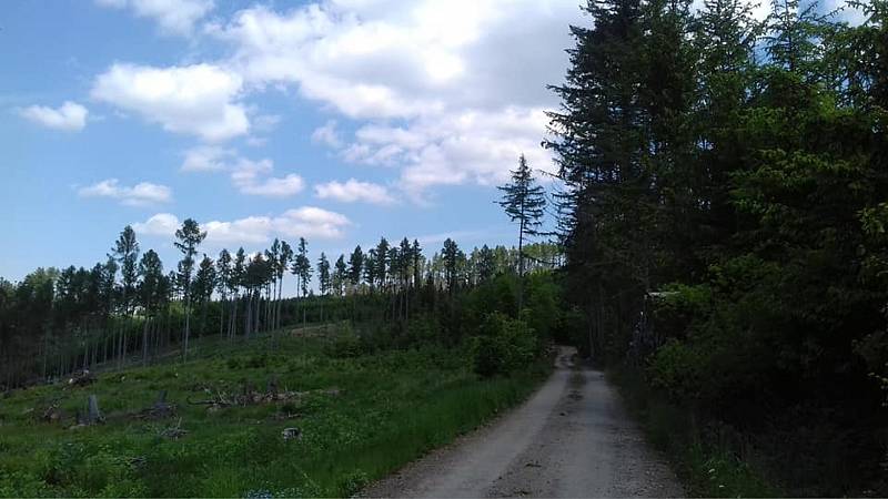 Z výletu z Boskovic do Úsobrna, Jaroměřic, Uhřice, Cetkovic a Světlá do Šebetova a přes Doubravy do Boskovic.